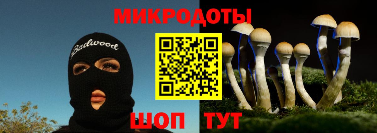 Галлюциногенные грибы мицелий  Вход с VPN  что такое   Крымск  Псилоцибиновые грибы Cubensis 